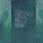 a-graines-de-musc