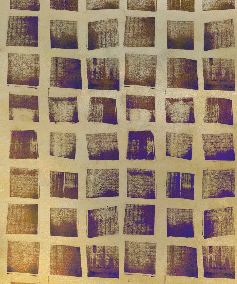 F graph 11