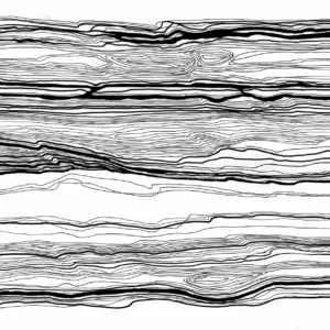 D.D.S 1 horizontal