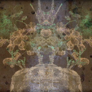 FLORE 7