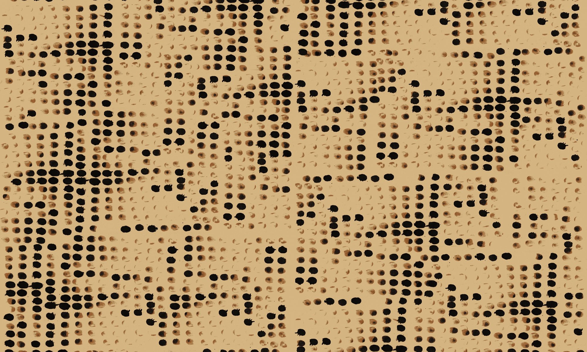 WABI SABI 23 COMP2