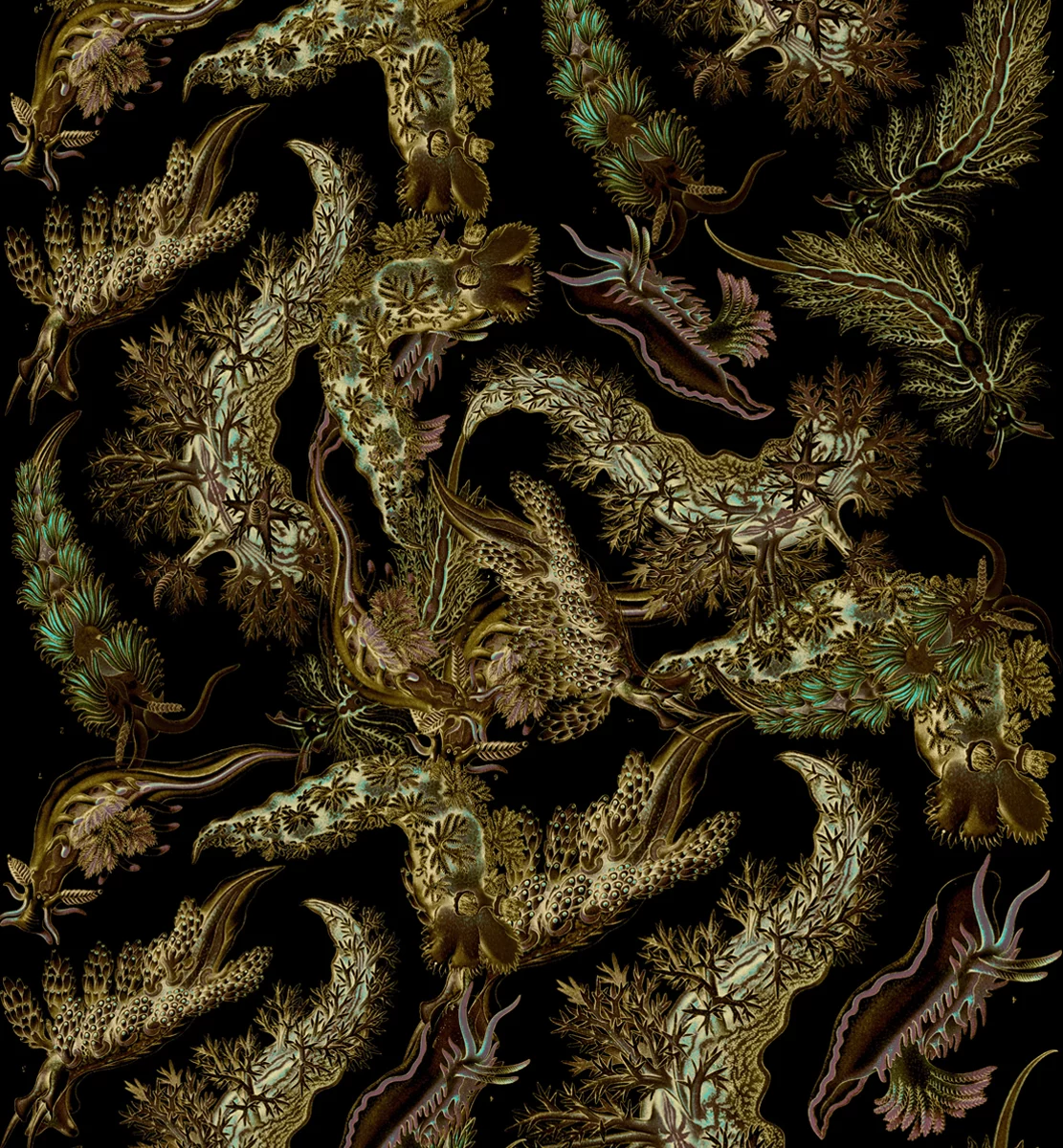 AQUAVITAM 5