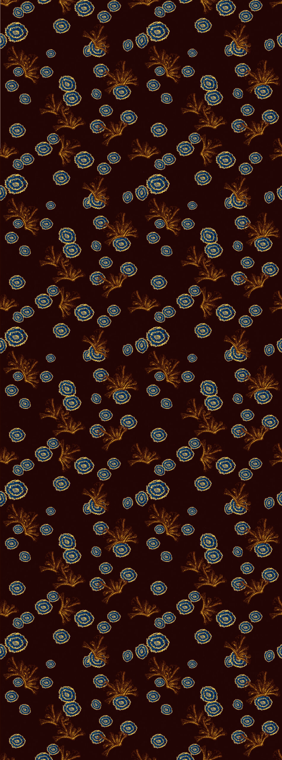 RÊVE D&rsquo;ANTAN 5