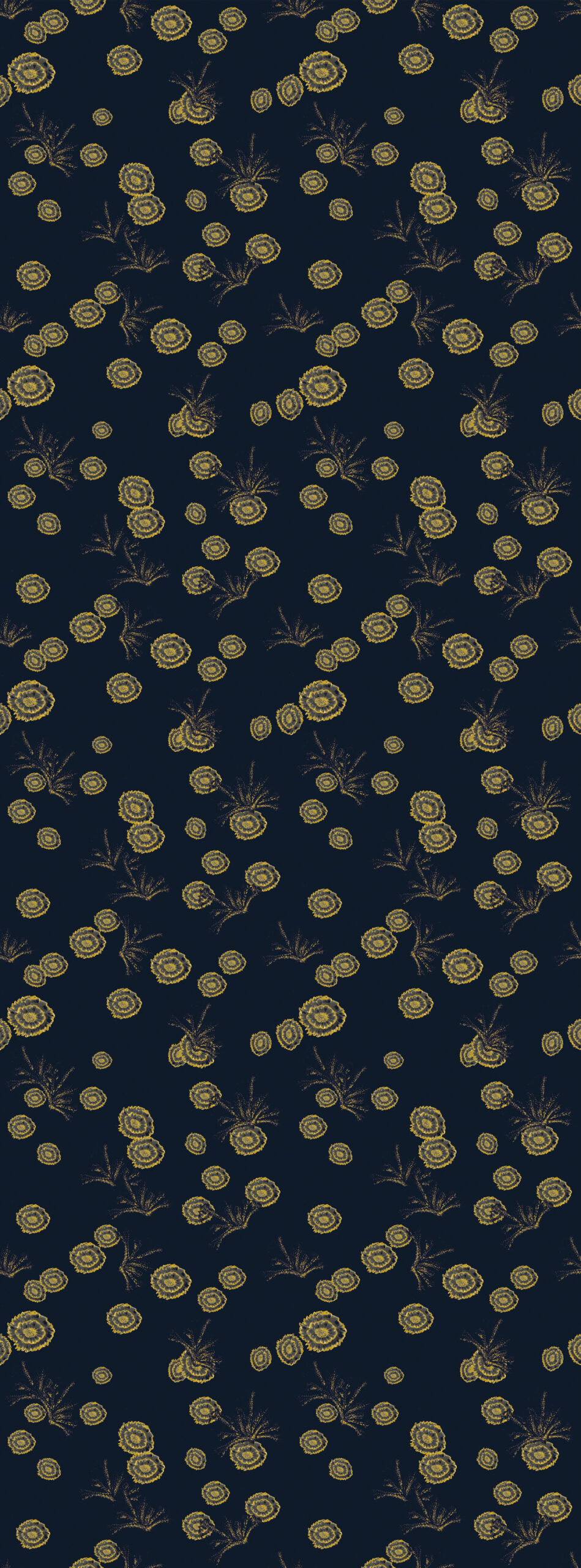 RÊVE D&rsquo;ANTAN 6