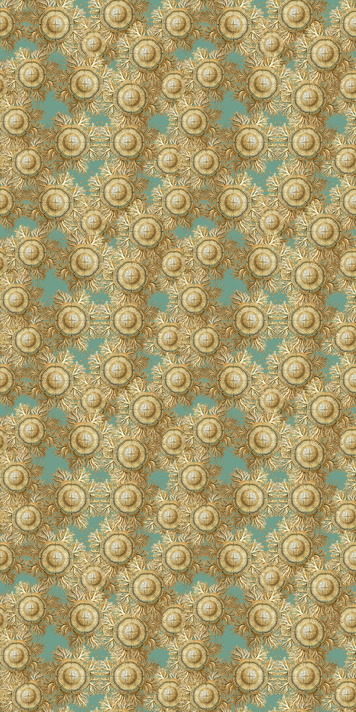 collection-2020-gorgone-flore